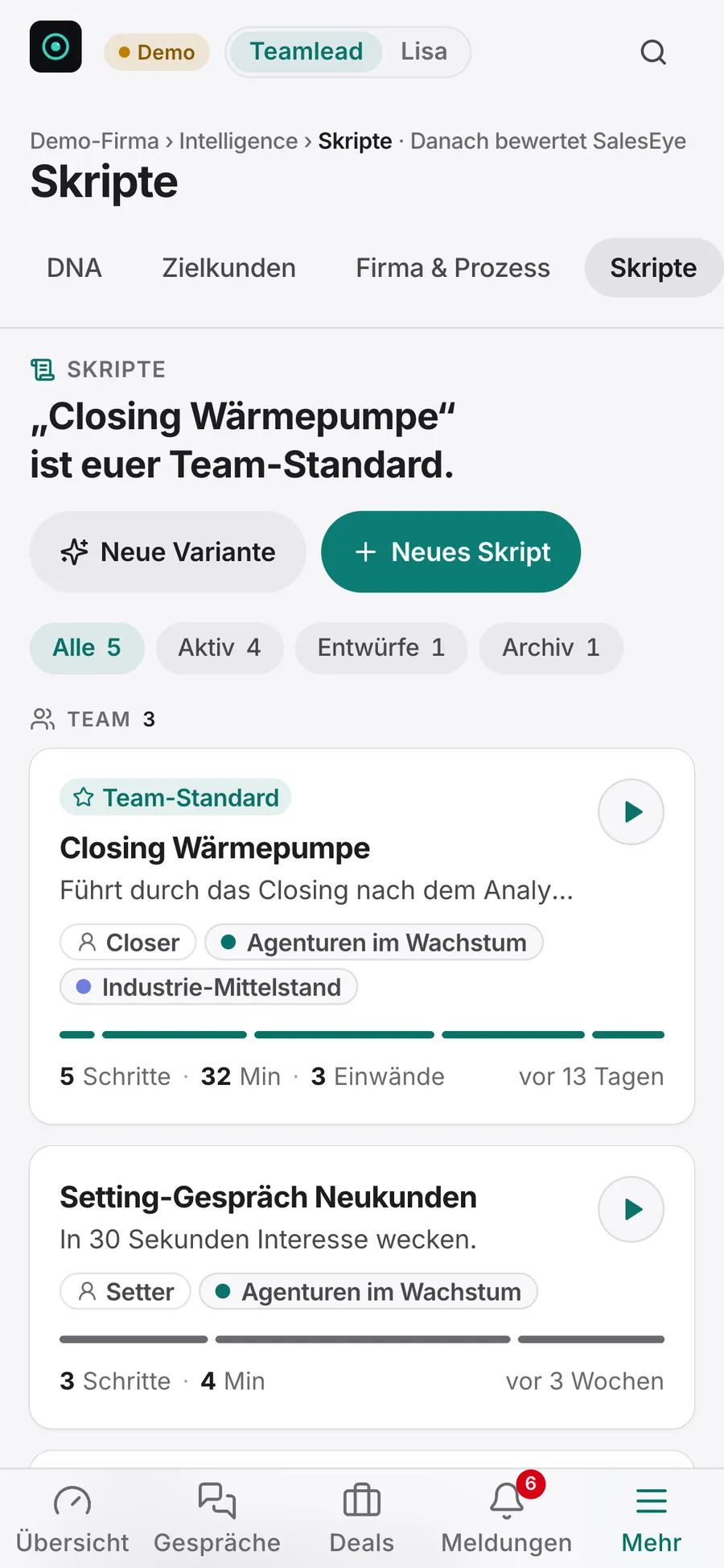 Skripte in SalesEye: Team-Standard, Skripte je Rolle für Closer und Setter, Entwürfe und persönliche Skripte (Beispieldaten)